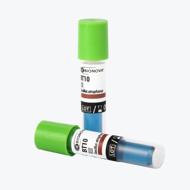 Vitamin B6 Supplement